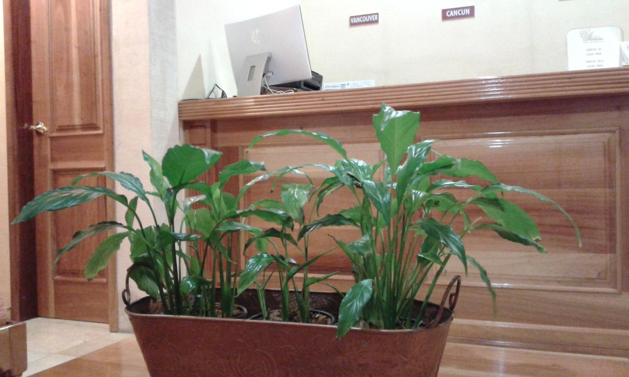 Cancun International Suites Ngoại thất bức ảnh